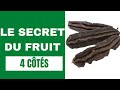 Le secret du fruit 4 côtés.