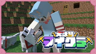 【#犬汰サーバー2024】最強装備作りたい【Minecraft】