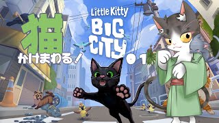Little Kitty, Big City 猫になってかけまわる！ ０１リトルキティ、ビッグシティ