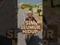 SIM SEUMUR HIDUP?! BERKAH ATAU PETAKA JALAN RAYA?! 😱🚗 #shorts #sim #faktaunik