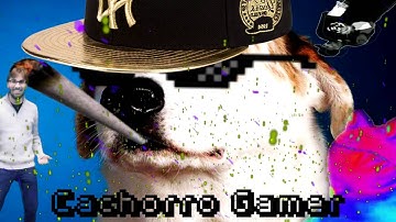 intro para edição dorgas