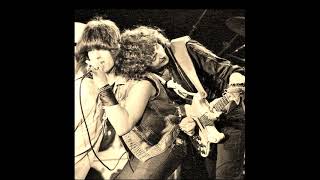 Deep Purple live in Vinhall 1989