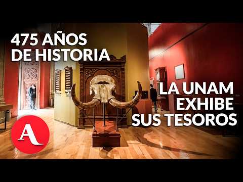 UNAM celebra 475 años de historia con exposición de más de 600 piezas en San Ildefonso