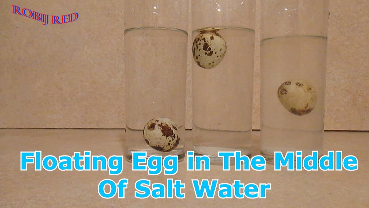 Floating Egg in The Middle Of Salt water - YouTube