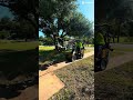Up rooting hackberry #branchmanager #treelife https://www.texastreetrimmers.com #bandit #treepeople