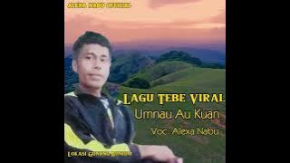 Lagu Tebe Lufut 2024 Viral TikTok😲/ Umnau Au Kuan/ Voc. Alexa Nabu