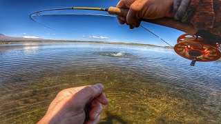 FISHING The BEST HIGH COUNTRY LAKE in the WORLD.....???