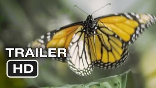 Subscribe to trailers: http://bit.ly/sxaw6h coming soon:
http://bit.ly/h2vzun flight of the butterflies official trailer #1
(2012) - imax 3d mov...