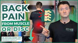 How Do You Know If Back Pain Is From Muscle or Disc? Figure it out now!