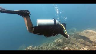 Master These SCUBA Diving Fining Hacks to Move Like a Pro Underwater! (You're Doing It Wrong