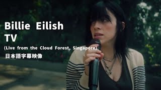 【和訳映像】Billie Eilish - TV (Live from the Cloud Forest, Singapore) \/ ビリー・アイリッシュ