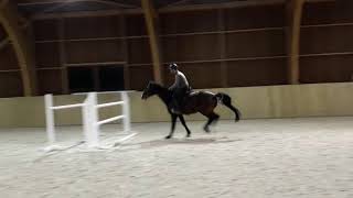 Nina Training 201711272