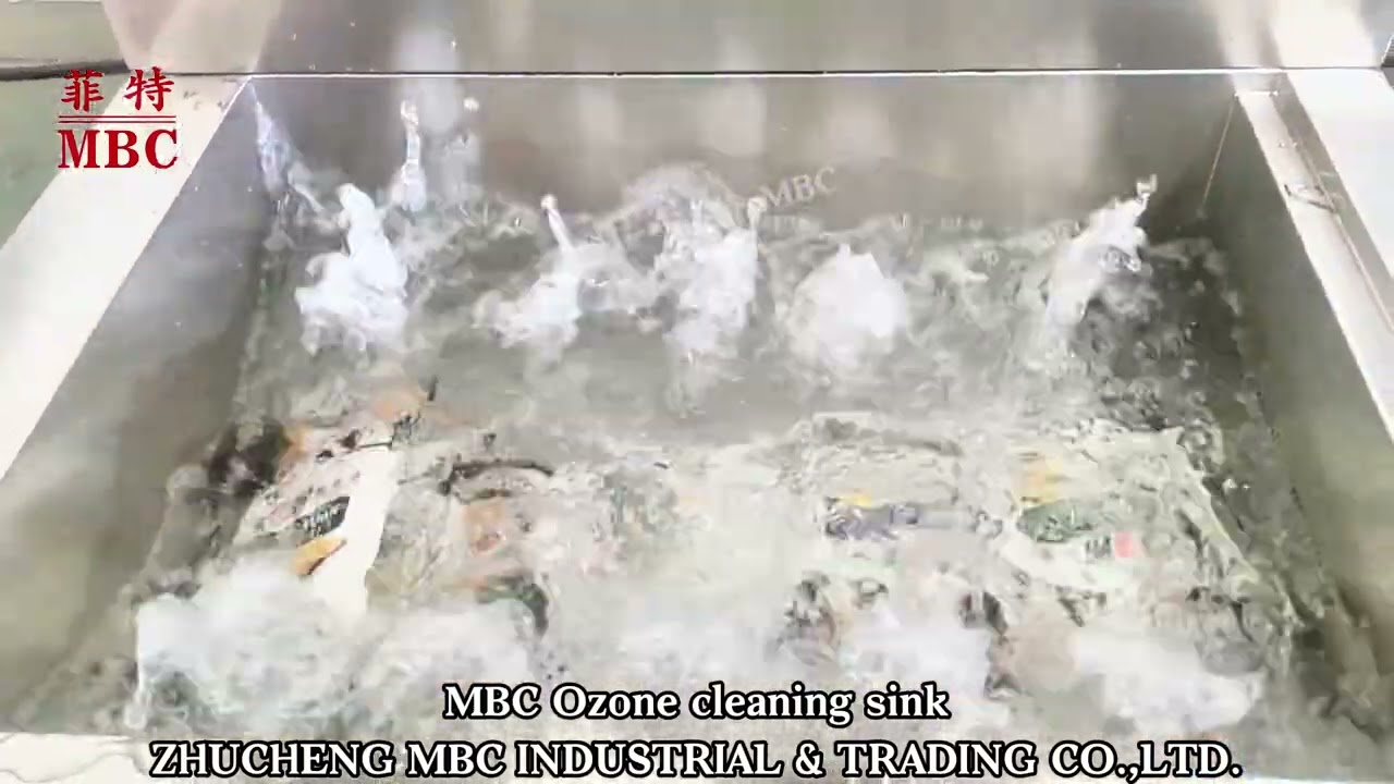 MBC small ozone cleaning machine 