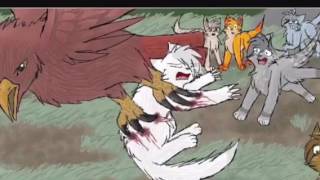 Top 10 Forgotten Warrior Cats