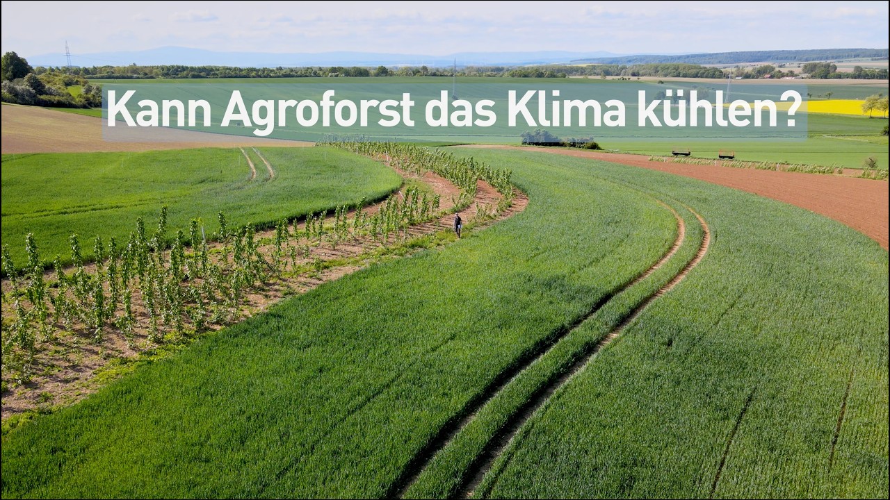 Kann Land(wirt)schaft das Klima khlen?