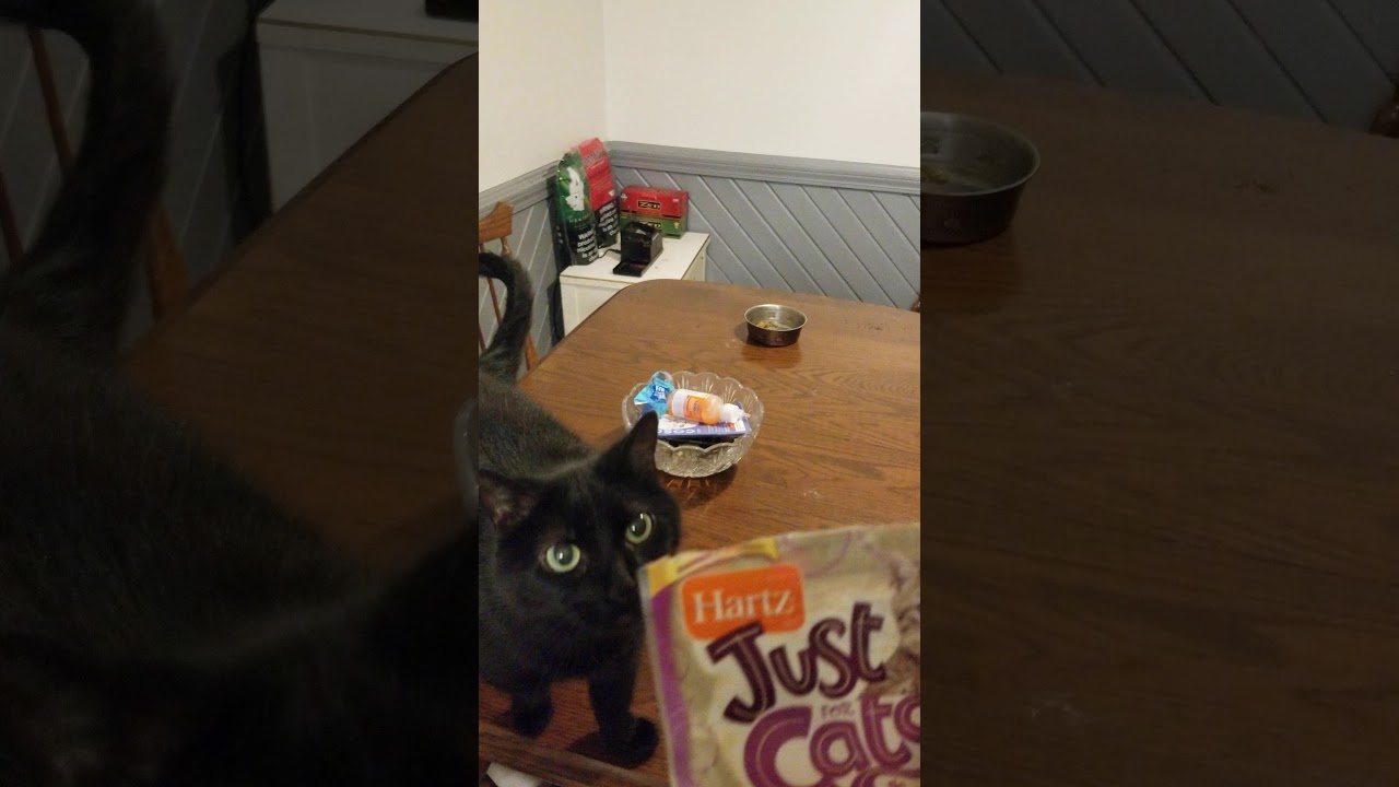 Hartz [catnip] - Is the S@