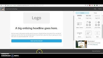 Mailchimp Landing Page for LIVE Lead Magnets