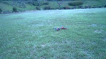 APM 2.6 Quad first flight fail