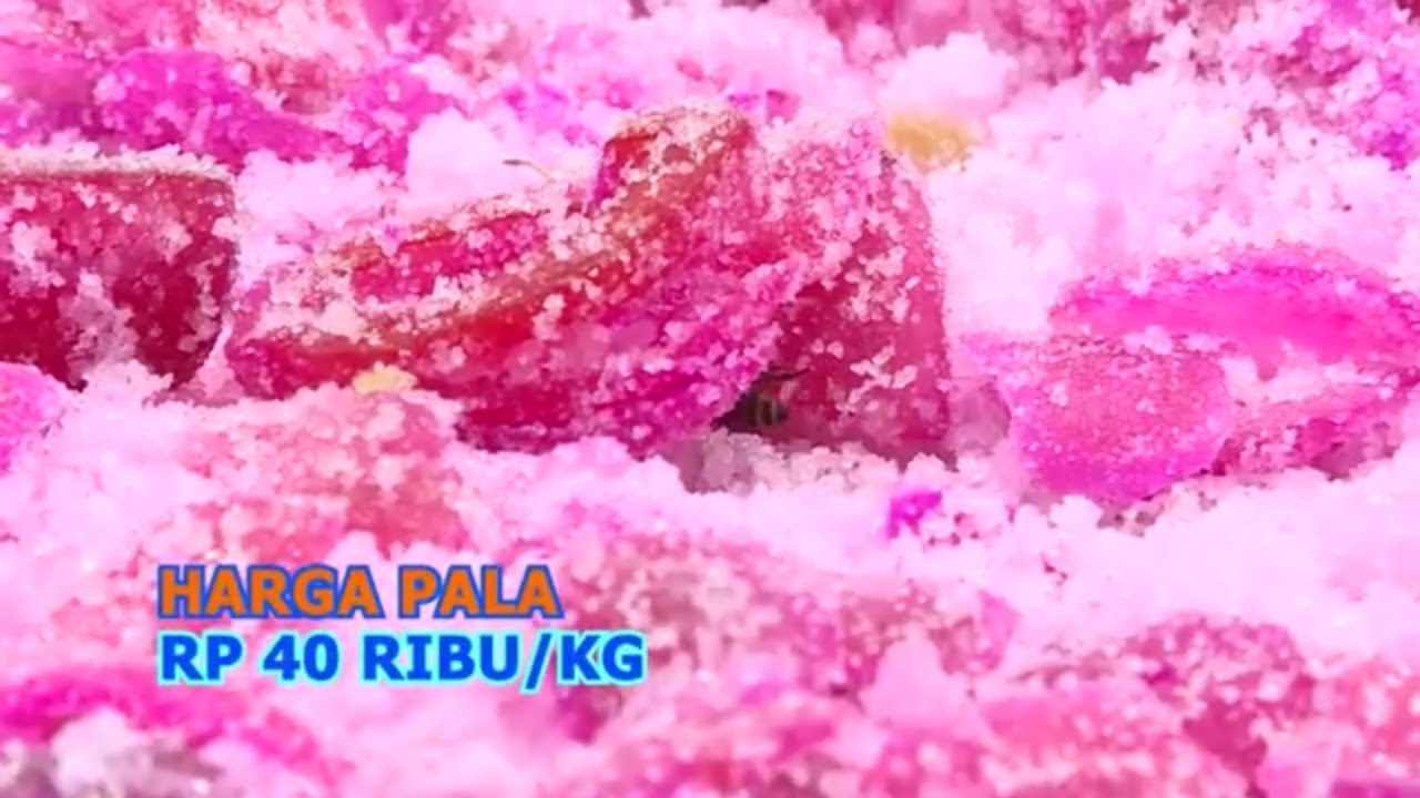 Manisan Pala Yang Melegenda | OMG!! (29/11/23)