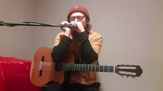Chromatic harmonica jamming over looped guitar (Hohner Super Chromonica 270 Delux)