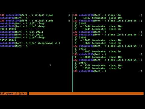 Killing Processes Linux Shell Tutorial