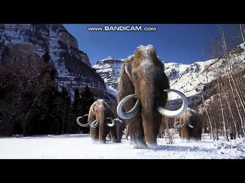 Woolly Mammoth Sounds 