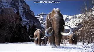 Wolly Mammoth Sounds