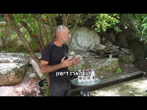 כולם רוצים עצים מלאי פירות....