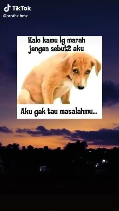 STORY WA 30 DETIK || STORY WA LUCU #short