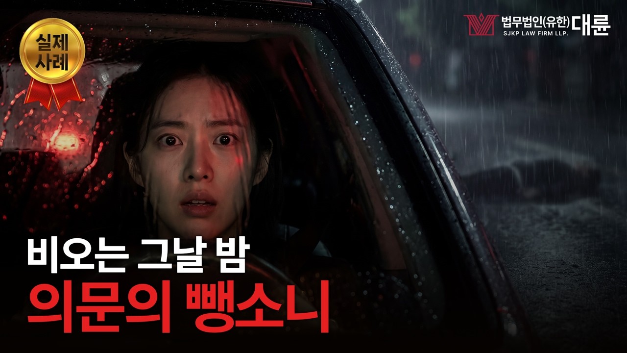 [실제 사건] 비 오는 밤의 음주운전 뺑소니.. 도로 위 사람을 밟았다