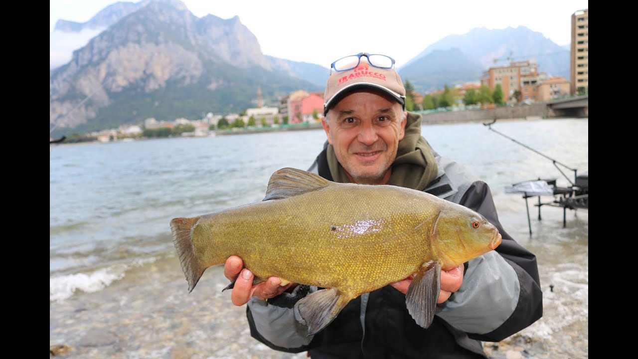Trabucco TV - Feeder Fishing - Tinche in open water