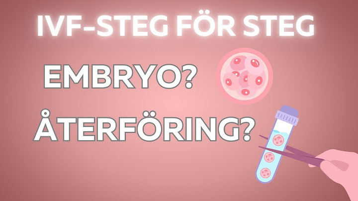 IVF-STEG FÖR STEG: Dag 15 Embryon? Återföring?
