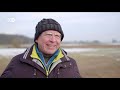 Organic food - hype or hope? | DW Documentary
