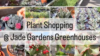 Plant Shopping @ Jade Gardens & Greenhouses (Cactus, Succulents and houseplants)
