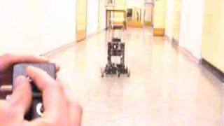 Inverted Pendulum Robot