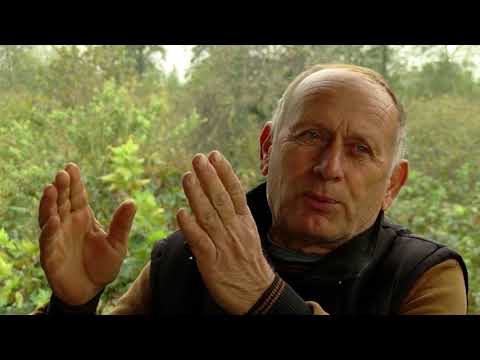 დაზიანებული თხილისა და სიმინდის მოსავალი 04 11 17