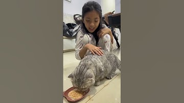 Chuyện tình cảm lạnh | Xòi ML