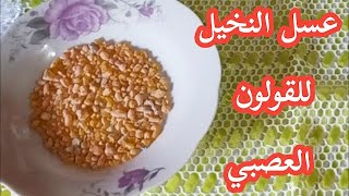 عسل النخيل للقولون العصبي وأعصاب المعدة والقضاء على الديدان.سلسلة وصفات علاجية مجربة رقم (21)