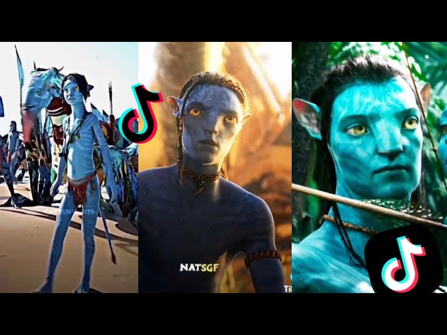 appa, yeet yeet — kyoshicafe: •°Cute Avatar Icons (2)°• [¼]