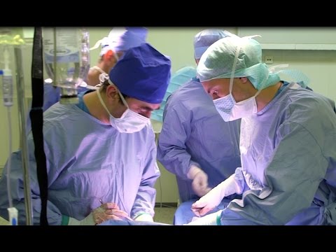 Wideo: Rak Nosa (Chondrosarcoma) U Psów