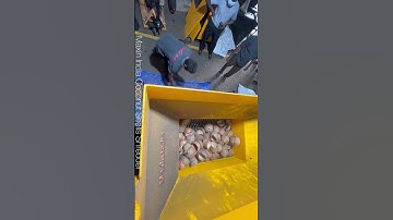 Brown coconut shells shredder, Brown coconut Shells crusher, #Coconutshellsshredder, #Huskshredder