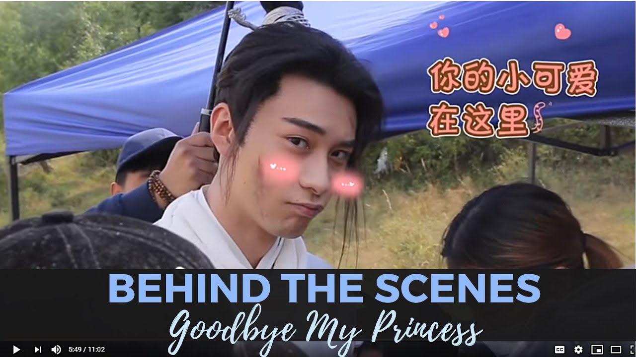 Goodbye My Princess Eng Sub