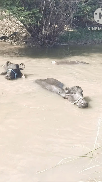 barrelanu e vidhanga mepukunte arogyamuga untayi