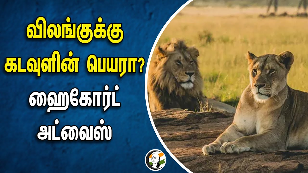விலங்குக்கு கடவுளின் பெயரா? ஹைகோர்ட் அட்வைஸ் | Bengal Safari | West Bengal