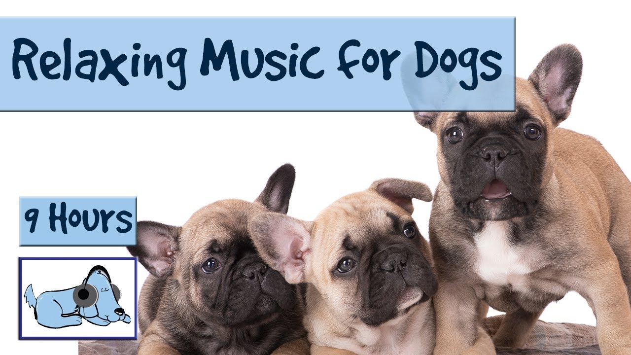 soft music for puppies