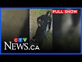 ‘Life-altering’ injury for man shot during robbery | CTV News Winnipeg at Five for October 14, 2025