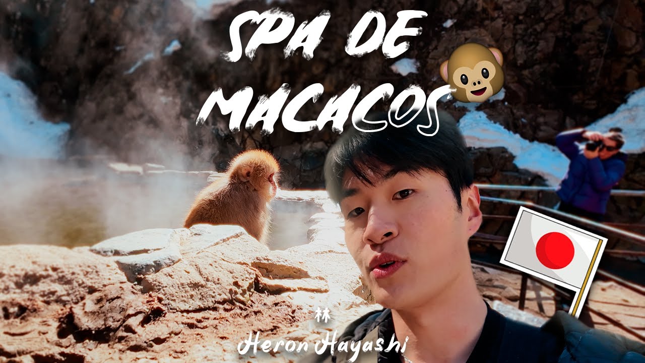 BANHO TERMAL COM MACACOS | Heron no Japão