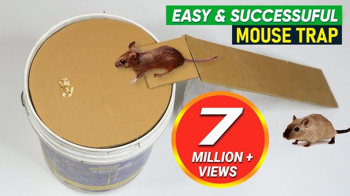 Meilleures idées piège à rats  Top 10 piège à souris électrique #3 