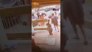 Bengaluru Woman Seriously Injured After Pet Dog Attack During Morning Walk