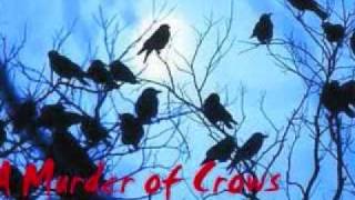 A MURDER OF CROWS - STEVE PORCARO chords